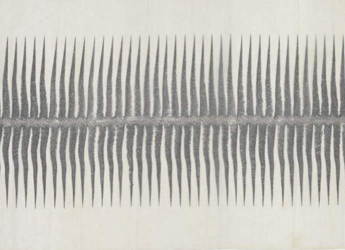 Spine pattern furnishing fabric designed by Dorothy Larcher